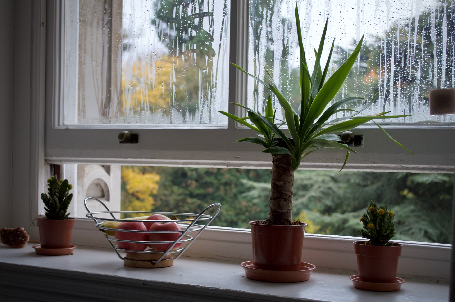 Raising Home Humidity in Dry Winter Months